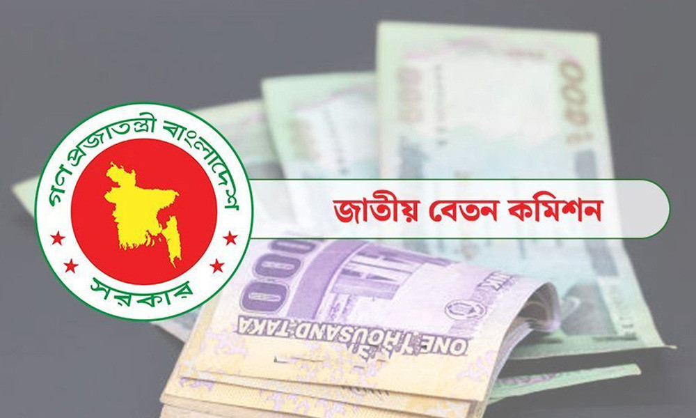 নতুন পে-স্কেল বাস্তবায়ন করবে না অন্তর্বর্তী সরকার