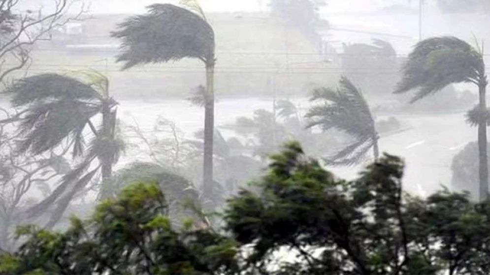 সংযুক্ত ছবি