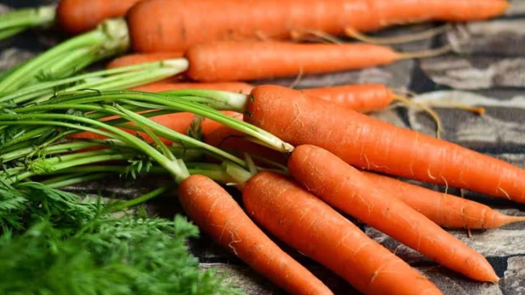 সংযুক্ত ছবি