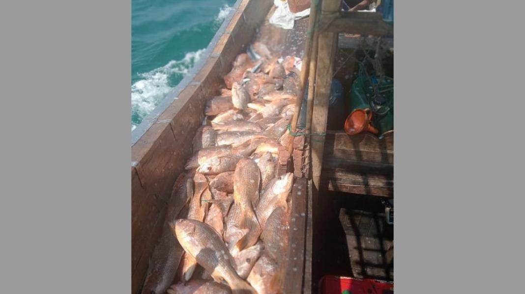 সংযুক্ত ছবি