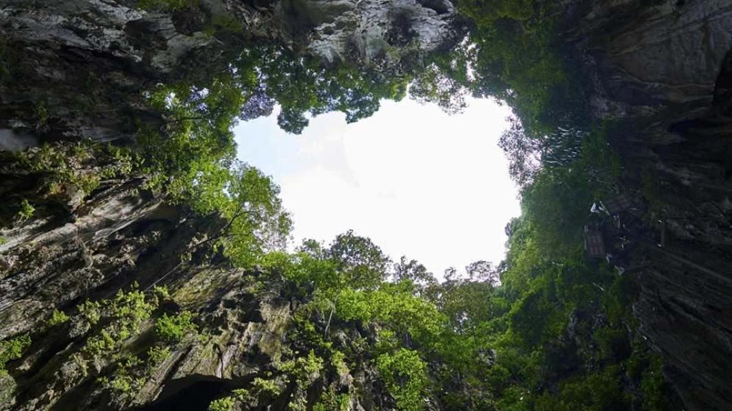 সংযুক্ত ছবি