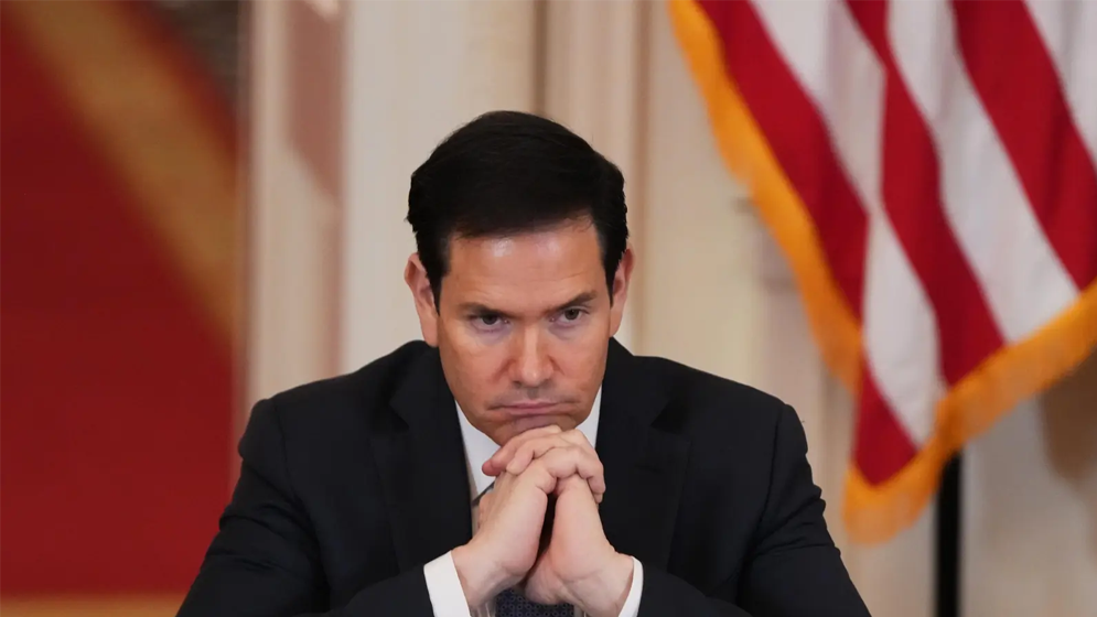 সংযুক্ত ছবি